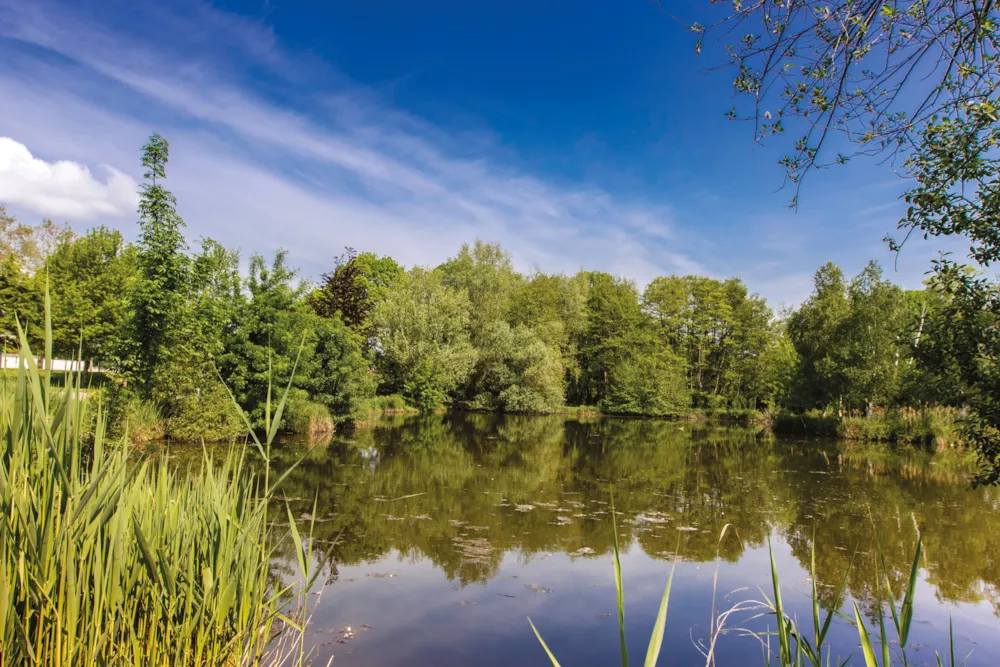 Flower Camping Le Nauzan Plage