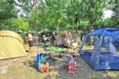 Camping De La Côte