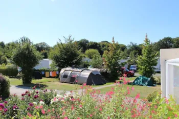 Stellplatz - Stellplatz / 1 Pers Inbegriffen - Camping de l'Allée