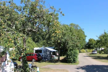 Stellplatz - Stellplatz + Strom / 1 Pers Inbegriffen - Camping de l'Allée