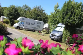 Stellplatz - Pauschale Acsi - Porteur De La Carte Acsi Uniquement - 1 Hund + Strom - Camping de l'Allée