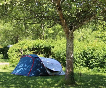 Parcela Especial Excursionista Andando O Ciclista Con Tienda