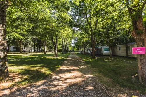 Emplacement - Emplacement Tarif Sans Élec - image n°4 - Camping LA CHAPOULIÈRE