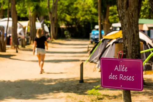Emplacement - Emplacement Tarif Sans Élec - image n°2 - Camping LA CHAPOULIÈRE