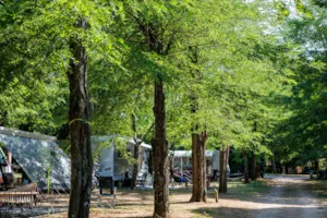 Emplacement - Standard Stellplatz -  Le Village - Camping LA CHAPOULIÈRE