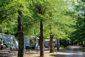 Stellplatz - Standard Stellplatz -  Le Village - Camping LA CHAPOULIÈRE