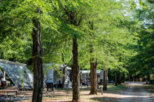 Kampeerplaats(en) - Standplaatsen Standaard -  Le Village - image n°1 - Camping LA CHAPOULIÈRE