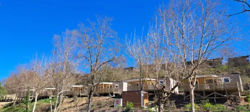Location - Cottage Bord De Rivière- La Rive - image n°8 - Camping LA CHAPOULIÈRE