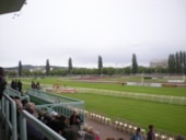 Parc Camping les Acacias