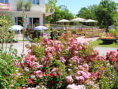 Parc Camping les Acacias