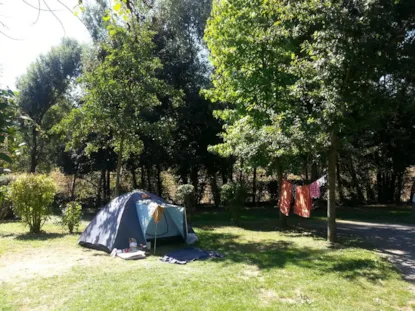 Piazzola Forfait Confort - Auto, Tenda, Roulotte O Camper Con L'elettricità