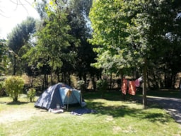 Pitch - Pitch Confort Package - Car, Tent, Caravan Or Camping-Car With Electricity - Capfun - Camping Les Portes Du Beaujolais