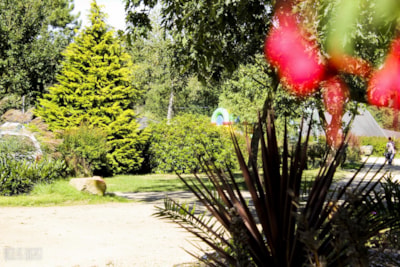 Camping La Baie de Terenez