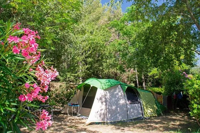 Emplacement En Camping