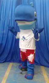 Foto #36 van Camping la Ballena Alegre