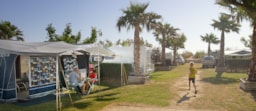 Stellplatz - Lateral Stellplatz - Camping la Ballena Alegre