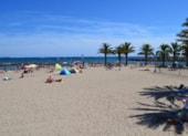 Bungalows du Golfe - Camping les Pruniers