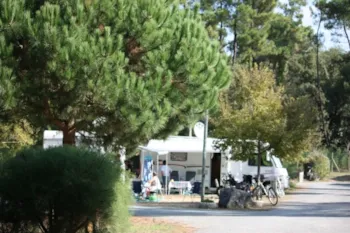 Emplacement - Forfait Confort (1 Tente, Caravane Ou Camping-Car / 1 Voiture / Électricité 10A) - Camping Saint Tro'Park