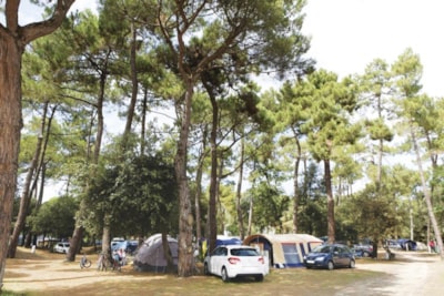 Comfort Package (1 tent, caravan or motorhome / 1 car / electricity 10A) — 3