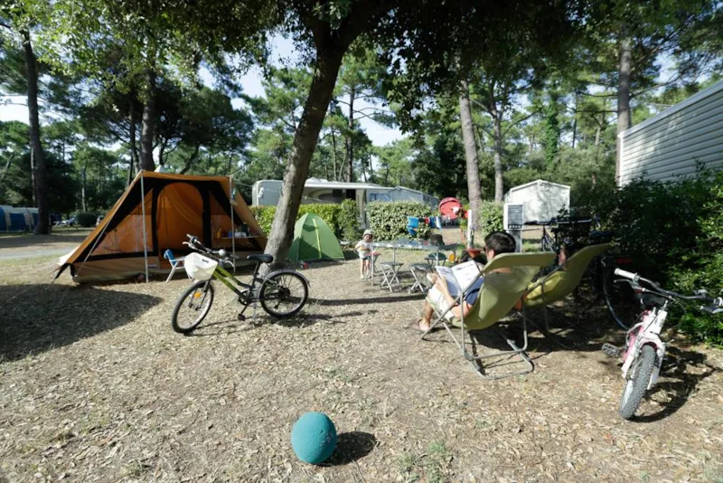 Forfait Privilège (1 Tente, Caravane Ou Camping-Car / 1 Voiture / Électricité 10A) + Raccordement Eau Et Évacuation Des Eaux Usées