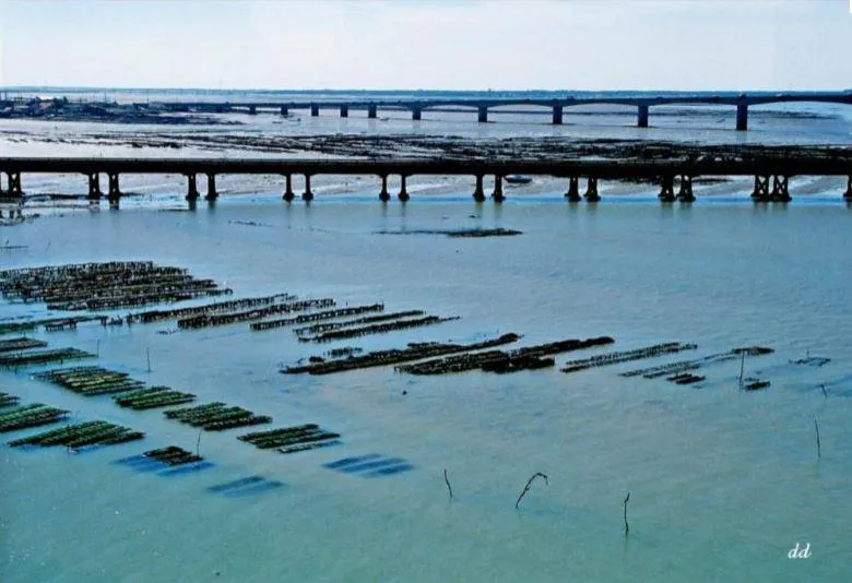 Camping Saint Tro'Park - image n°57 - UniversalBooking