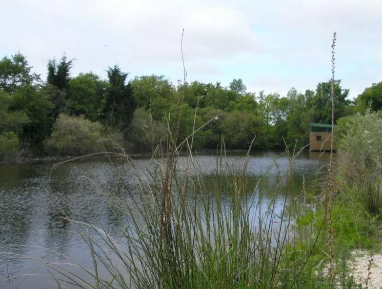 Camping Saint Tro'Park - image n°54 - UniversalBooking