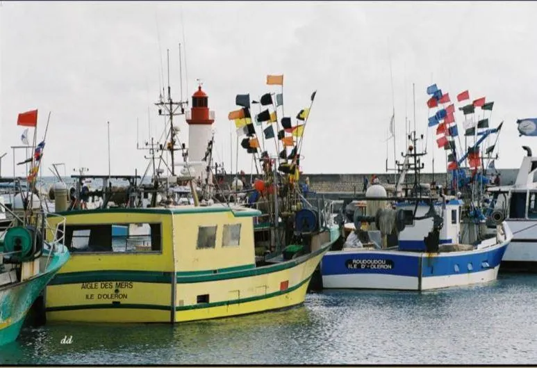 Camping Saint Tro'Park - image n°56 - UniversalBooking