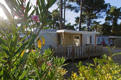 Mobile home Confort - 27.5m² (2 bedrooms) + 11m² semi-covered wooden terrace — 1