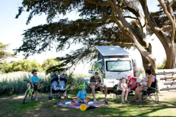 Stellplatz - Stellplatz Standard ( 1 Auto + 1 Zelt Oder Wohnwagen/1 Wohnmobil) - Camping Les Baleines