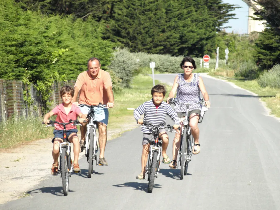Camping Les Baleines