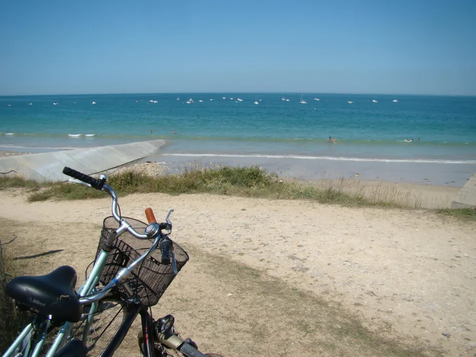 Camping Les Baleines