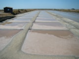 Foto #56 van Camping Les Baleines