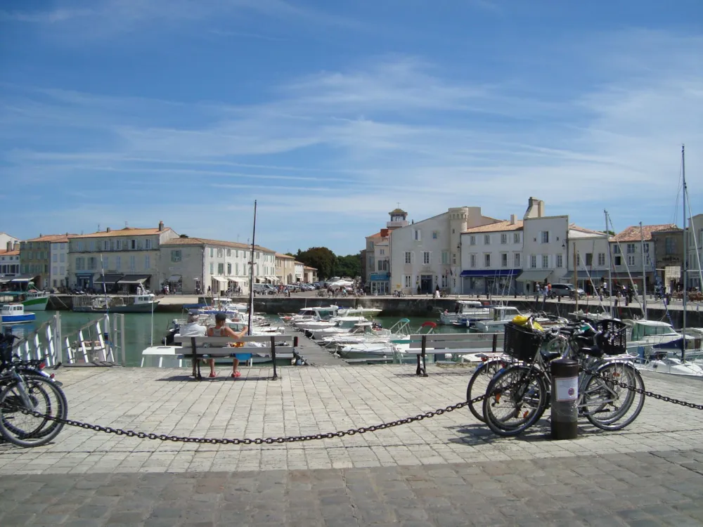 Camping Les Baleines