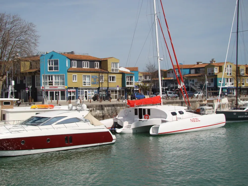 Camping Les Baleines