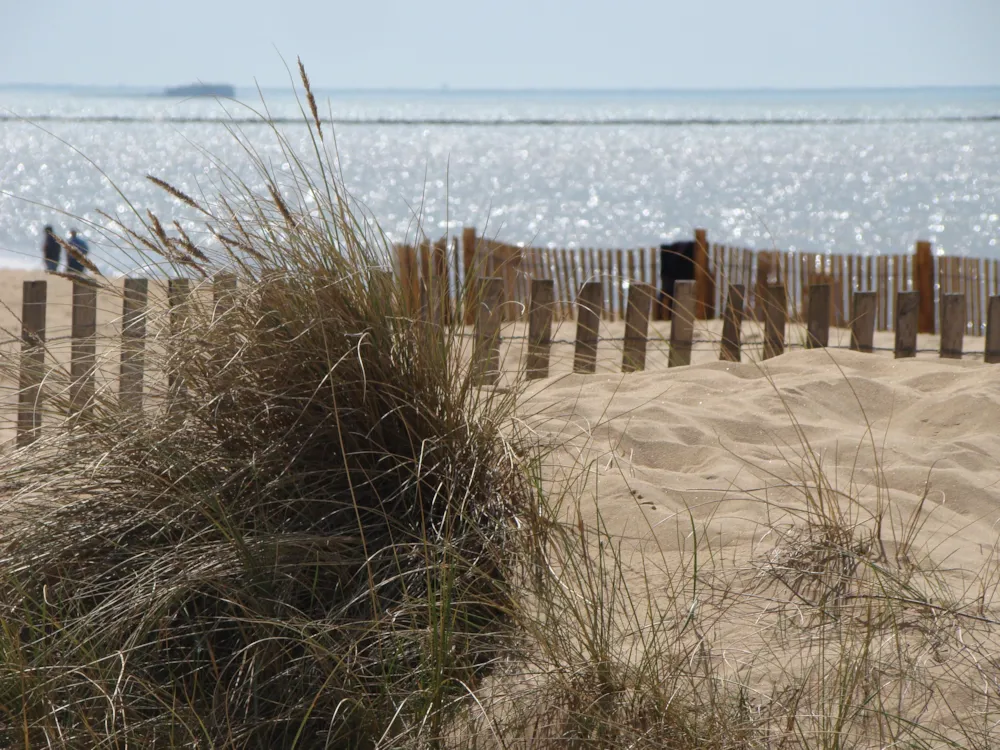 Camping Les Baleines