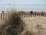 Foto #20 van Camping Les Baleines