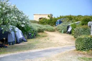 Stellplatz - Stellplatz Standard ( 1 Auto + 1 Zelt Oder Wohnwagen/1 Wohnmobil) - Camping Les Baleines