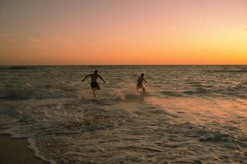 Camping Les Baleines