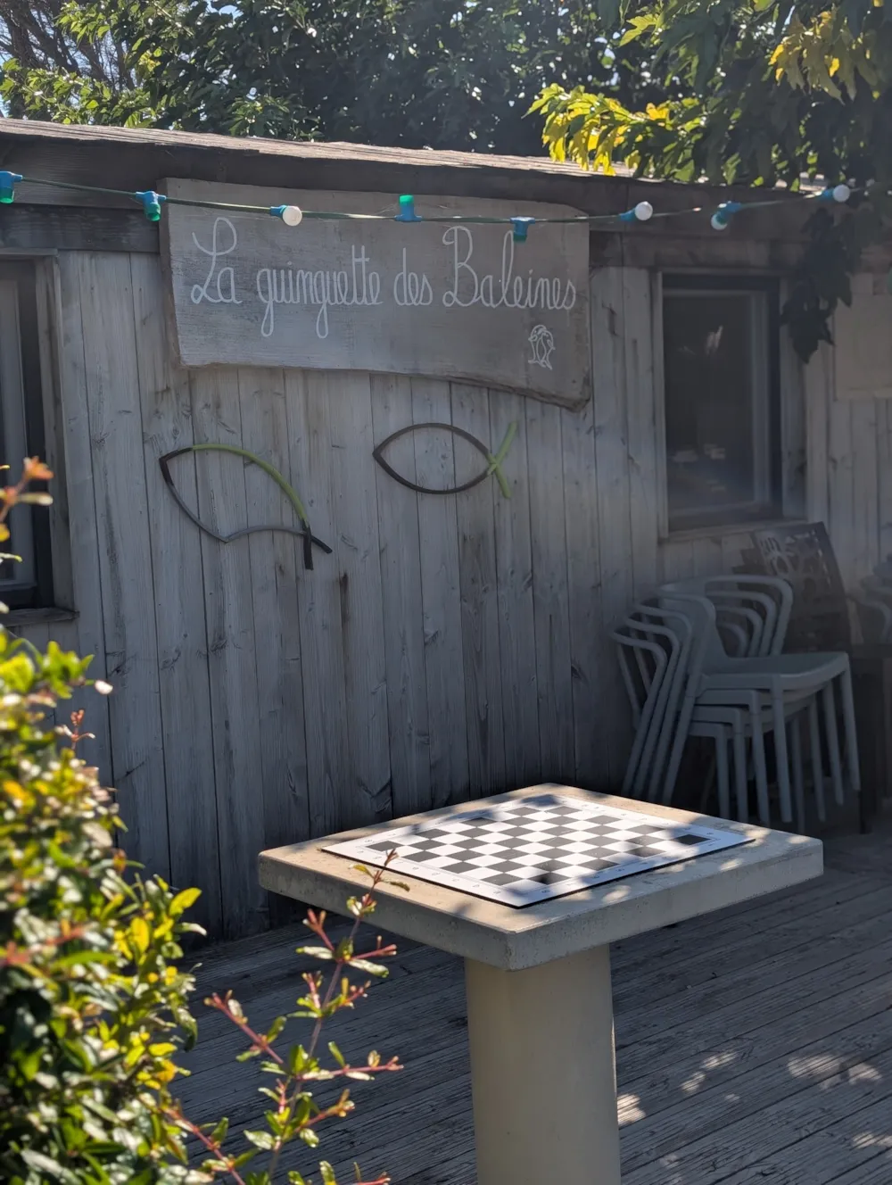 Camping Les Baleines