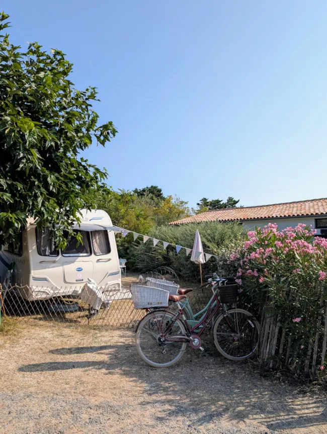 Camping Les Baleines - image n°4 - Camping Direct