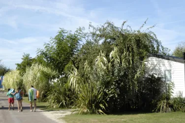 Camping Antioche d'Oléron - image n°3 - Camping Direct