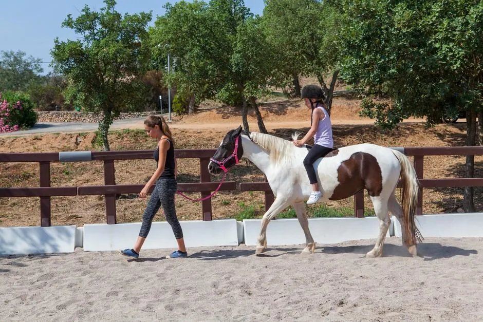 Domaine de la Bergerie