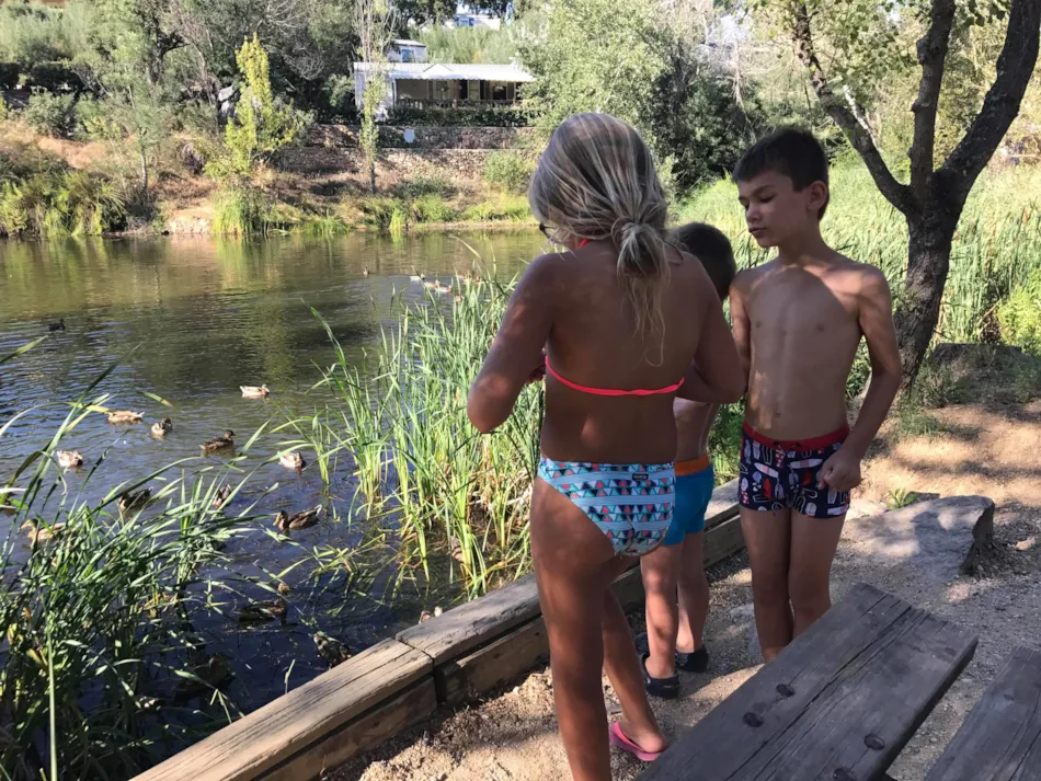 Domaine de la Bergerie