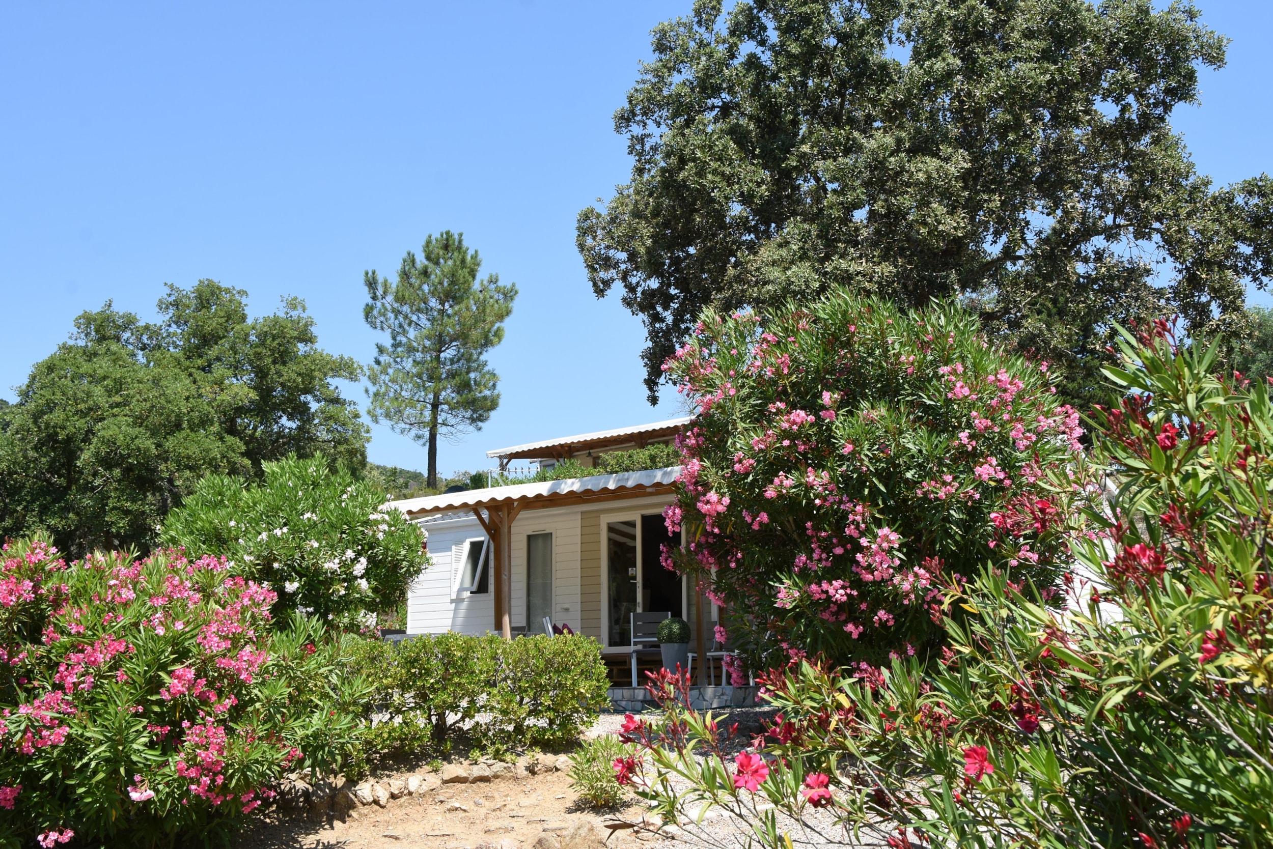 Domaine de la Bergerie — Photo 6