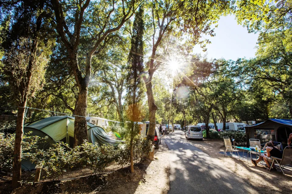 Domaine de la Bergerie