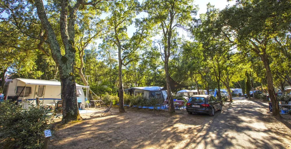 Emplacement - Emplacement Classique - Domaine de la Bergerie