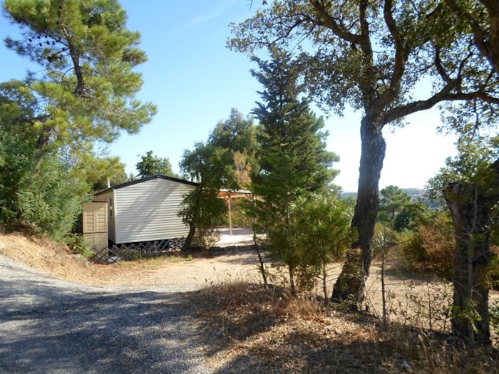 Cottage Espace C Non Climatisé - 3 Chambres - 6 Personnes