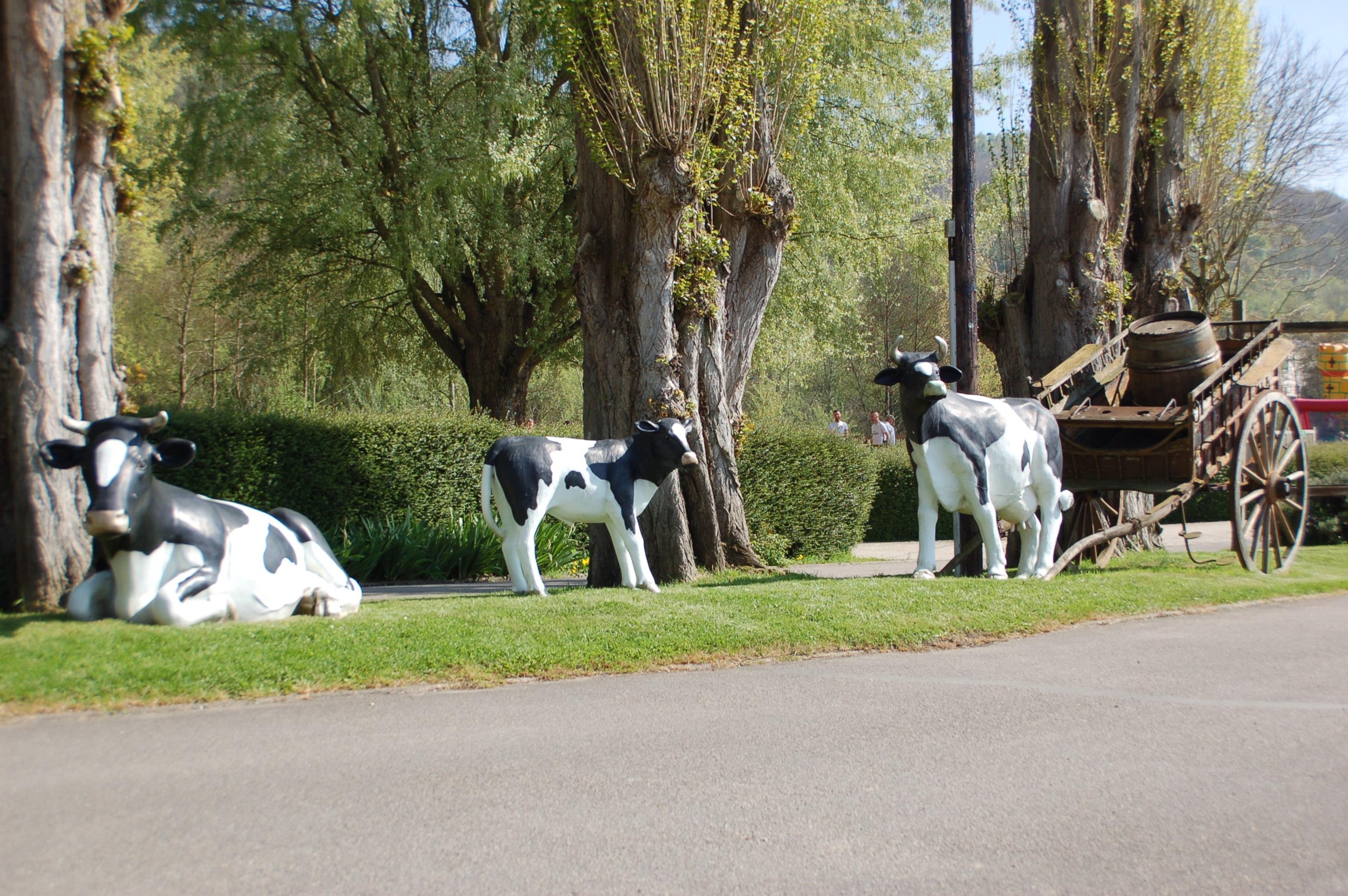Flower Camping l'Ile des Trois Rois — Photo 7