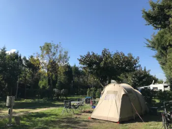 Stellplatz - Confort Medium Emplacement Tente / Van - CAMPING PEGOMAS