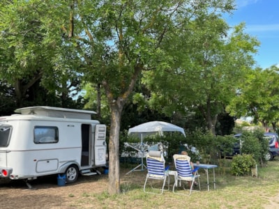 Comfort Large Tent/Van/Caravan/Motorhome Pitch (with electricity)